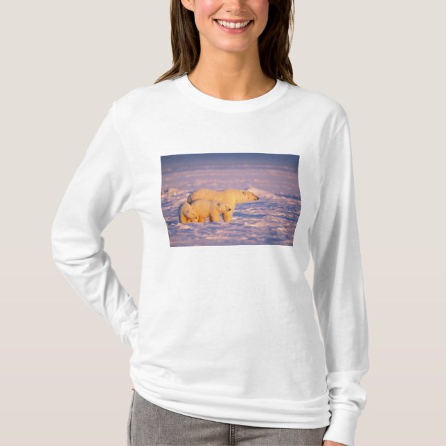 Camiseta Ursoaica com filhotes de primavera no congelado (Frente)