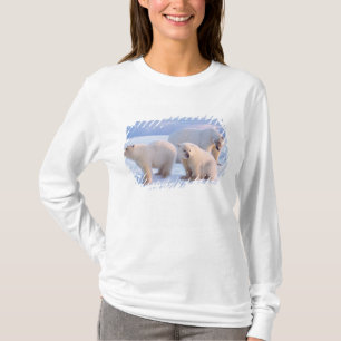 Camiseta Ursoaica com filhotes no gelo da costa