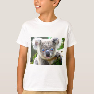 Camiseta Ursos de Koala