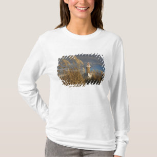 Camiseta Uruguai, Departamento de Montevidéu, Montevidéu.
