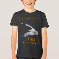 Utah Territory Bird A Califórnia Gull