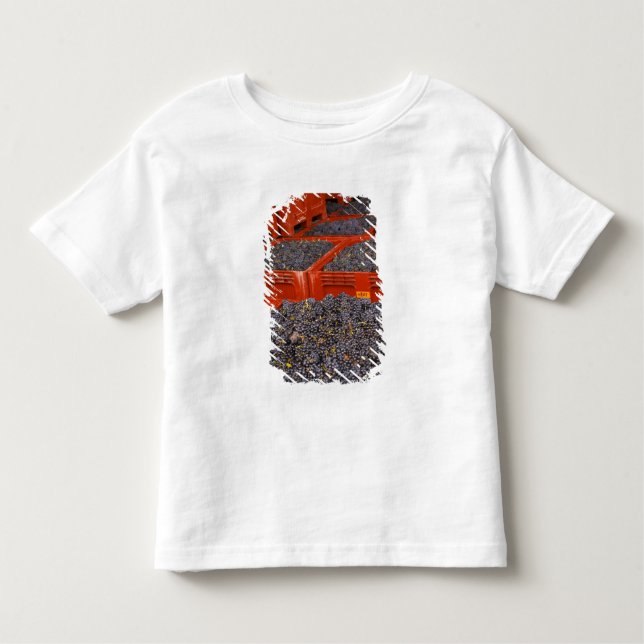 Camiseta Uva de gamay só na colheita (Frente)
