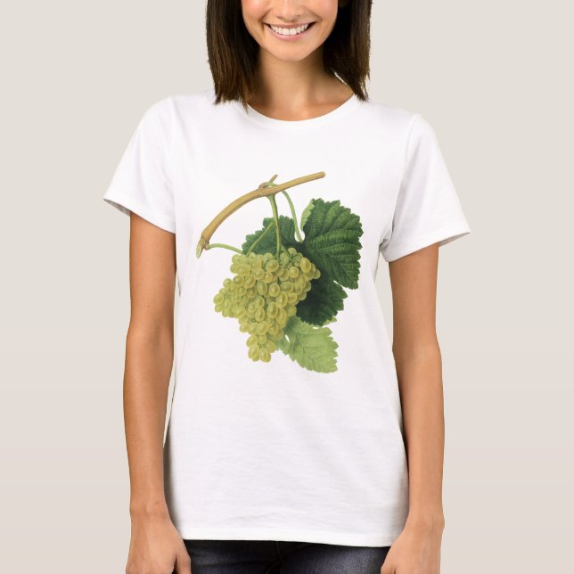 Camiseta Uvas de vinho branco na vinha, Fruta de Comida de  (Frente)