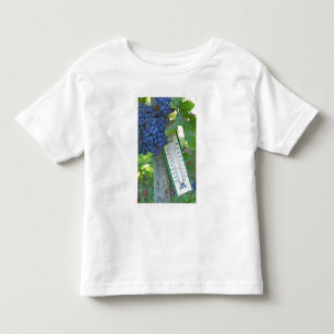 Camiseta Uvas Merlot no Chateau la Grave Figeac, um