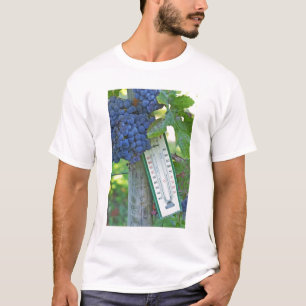 Camiseta Uvas Merlot no Chateau la Grave Figeac, um