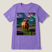 Vaca Highland Sob As Estrelas