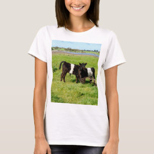 Camiseta Vacas Galloway De Cinto De Bebê No País,