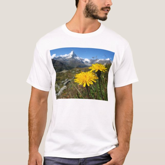 Camiseta Valais Alps Swiss (Frente)