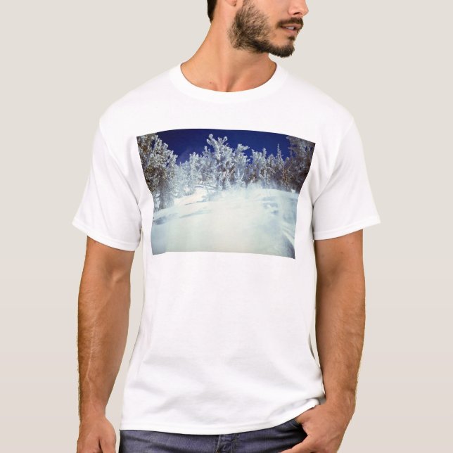 Camiseta Vale celestial, EUA (Frente)