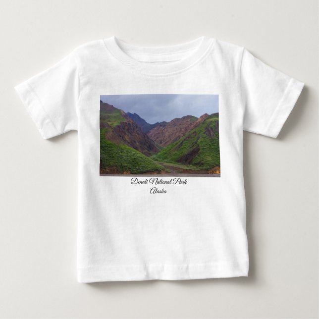 Camiseta Vale no rio Toklat, em Denali (Frente)