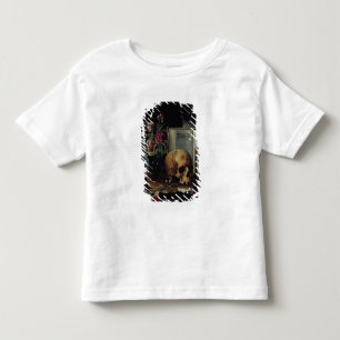 Camiseta Vanitas