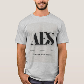 Camiseta Variante cinza AES