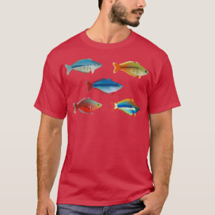 Camiseta Várias Rainbowfish Pack da Chilantherina