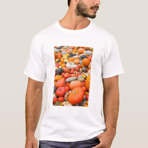 Camiseta Variedade de abóbora à venda, Alemanha