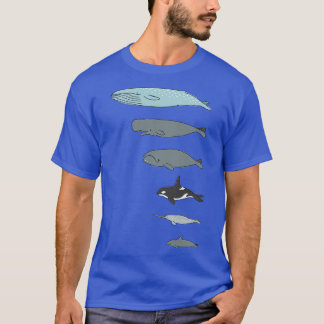 Camiseta Vários cetáceos
