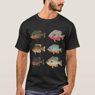 Camiseta Vários Sunfish (Lepomis sp.) Pacote