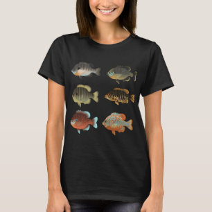 Camiseta Vários Sunfish (Lepomis sp.) Pacote