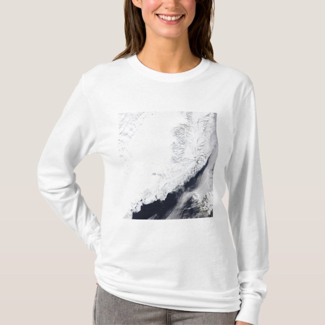 Camiseta Vários tipos de gelo marinho (Frente)