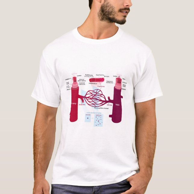 Camiseta Vasos Sanguíneos Diagrama Artérias Veias Capilares (Frente)