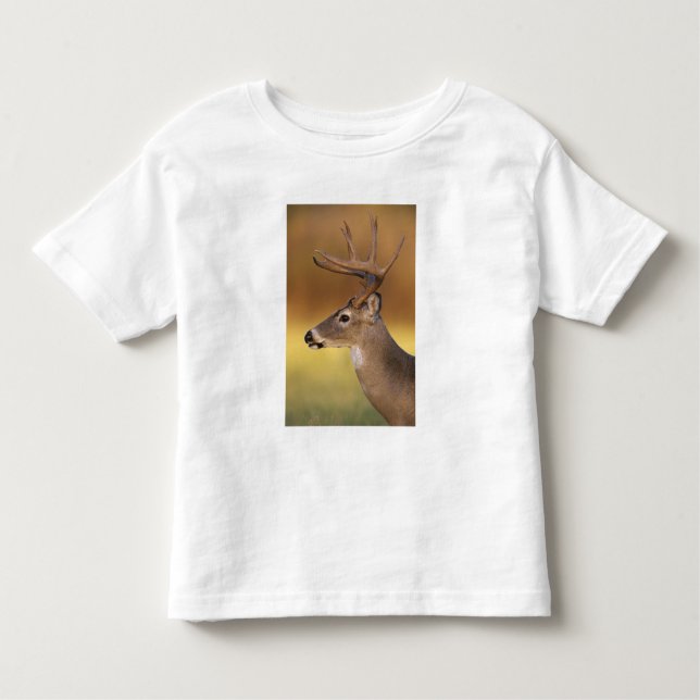 Camiseta Veado branco, Odocoileus virginianus, (Frente)