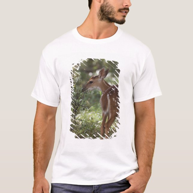 Camiseta Veado-de-cauda-branca, Odocoileus virginianus (Frente)