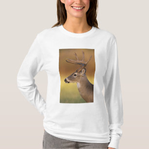 Camiseta Veado-mateiro, Odocoileus virginianus,