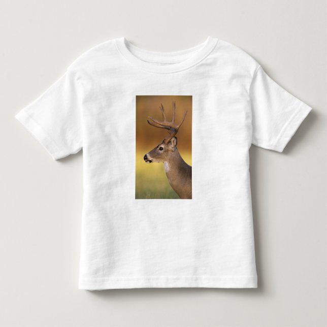 Camiseta Veado-mateiro, Odocoileus virginianus, (Frente)