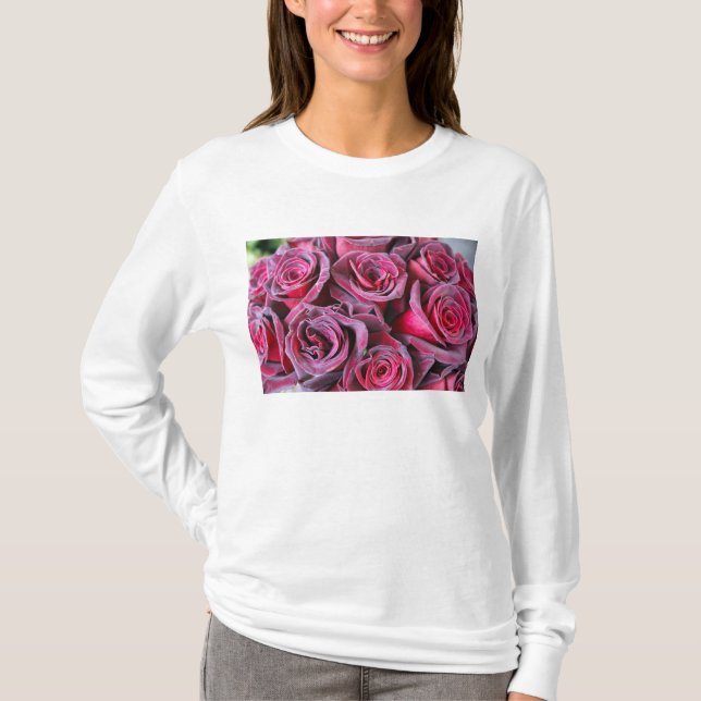 Camiseta Velvet Beauty Long Sleeve (Frente)