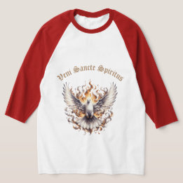 Camiseta Veni Sancte Spiritus - Vem Santo Espírito Raglan
