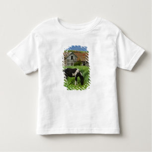 Camiseta Ver cavalos num campo na Palha 2