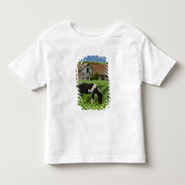 Camiseta Ver cavalos num campo na Palha 2 (Frente)