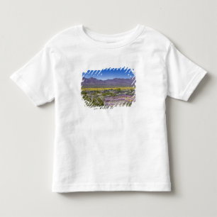 Camiseta Verbena de Areia e Ouro do Deserto no Amboy Crater