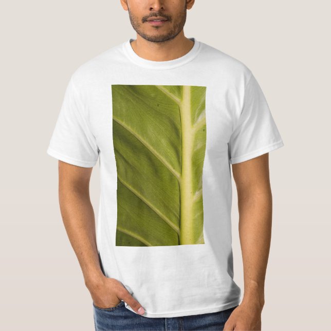 Camiseta Verde 01 (Frente)