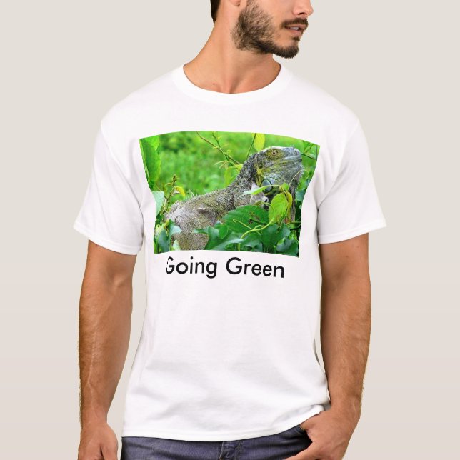 Camiseta verde indo (Frente)