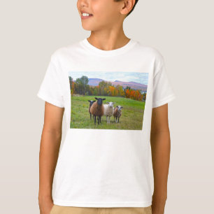 Camiseta Vermont Sheep no outono