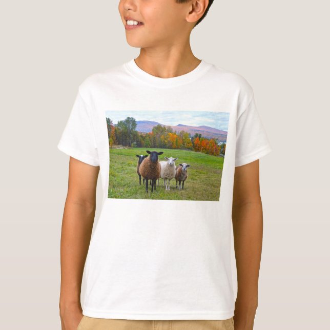 Camiseta Vermont Sheep no outono (Frente)