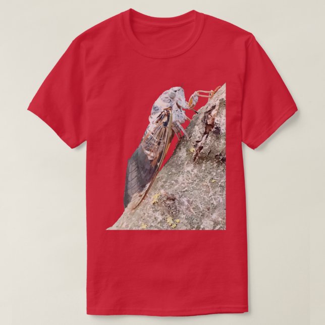 Camiseta Vetor de Insetos de Cicada (Frente do Design)