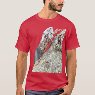 Camiseta Vetor de Insetos de Cicada
