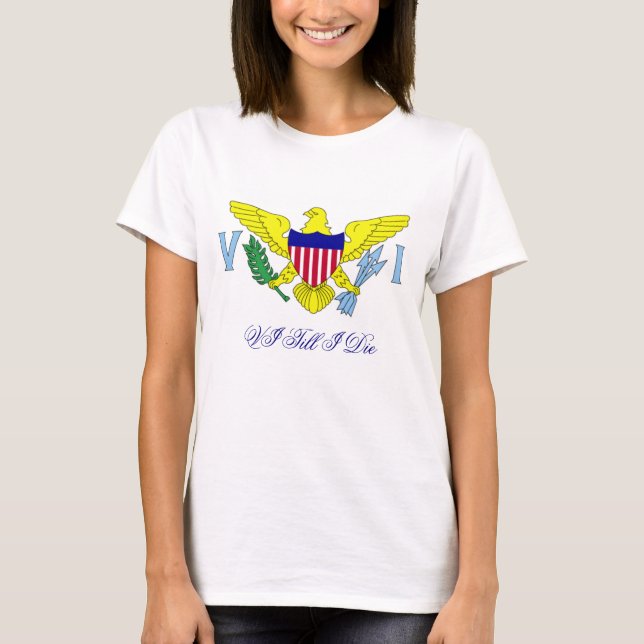 Camiseta VI pintinho 2 (Frente)