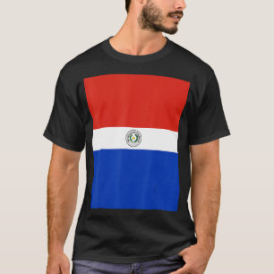 Camiseta Viagem do Patrimônio do Paraguai Flag Souvenir