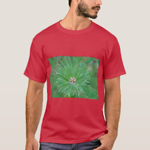 Camiseta Vibrações da Floresta de Pinheiros – Calmas, Natur