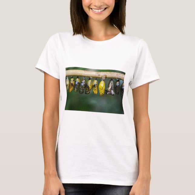 Camiseta Vida Colorida do Casulo (Frente)