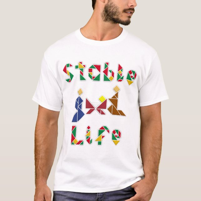 Camiseta Vida estável (Frente)