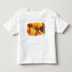 Camiseta Vietnã, Hoi An Grandes lanternas, lembranças