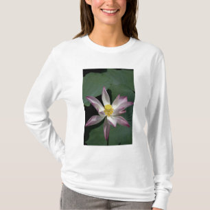 Camiseta Vietnã, perto de Saigon) My Tho. Vinh Trang