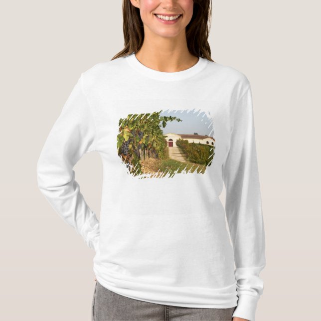 Camiseta Vinhas, videiras petit verdot e a adega ao (Frente)
