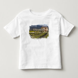 Camiseta Vinhedo dormente, flores de frutas, casa de pedra,