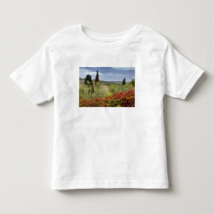 Camiseta Vinícola perto de Montalcino, Toscana, Itália