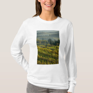 Camiseta Vinícola, Toscana, Itália