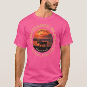 Camiseta Vintage Assateague Ilha National Seashore Rd